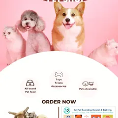At my pet shop, you can find all brand pet food, toys, treats, accessories, and even the pets themselves. I am your reliable one-stop store in Gurugram.
