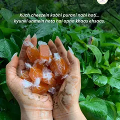 Some things never get old, like the taste of home. Our individually wrapped Orange Aam Papad pieces held in henna-adorned hands capture the feeling of tradition and a mother's love that we share with you.