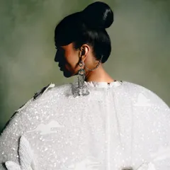A close-up profile shot from the Rahul Mishra series, focusing on the elegant hair styling and statement earrings against the sequined texture of the dress.