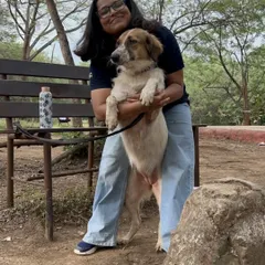 Trust is built in quiet moments like this. Here, I'm sharing a hug with a dog in a park. There are no commands or distractions, just pure connection. This is the foundation of my training philosophy.