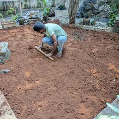 A team member levels the new soil with a wooden plank to ensure a perfectly even surface for the lawn.