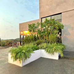Can you picture this spot without the garden? We designed this overflowing planter bed to add life, warmth, and cheer to the outdoor area of this modern building.