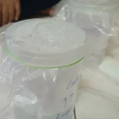 A close-up of the condensation, the "clouds" forming in our jar. This simple experiment beautifully demonstrates a key part of how Earth has been recycling water for billions of years.
