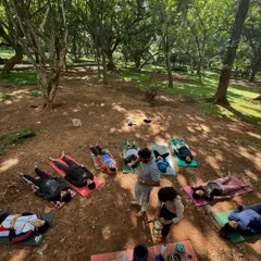 An overhead shot of a sound healing session in Cubbon Park. This was a magical way to celebrate Yoga Day, connecting with a wonderful group of people in the embrace of nature.