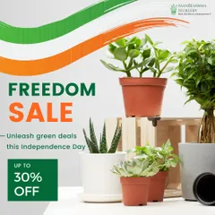 Celebrate with our Freedom Sale. This is a great opportunity to unleash some green deals and add new plants to your home or gift them to loved ones.
