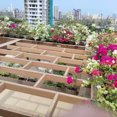 Another angle of the terrace project, showing the custom-built pergola structure which will eventually be covered with climbing plants. The Bougainvillea adds a beautiful pop of color.