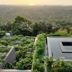 We see landscape not as a backdrop, but as an integral part of the home. At Villa Toshi in Alibaug, years of collaboration resulted in a recalibrated building where rooftop gardens and lush greenery cascade down the structure, merging the home with the expansive view.