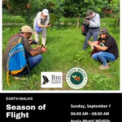 A group of participants, fully absorbed in observing and photographing nature during our "Season of Flight" walk. We encourage a hands-on, immersive approach to learning.