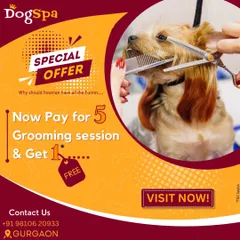 A special offer for all pet parents. Pay for five grooming sessions and get one completely free. It's my way of making regular grooming more accessible.
