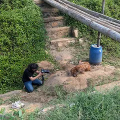 A candid shot of me at work, getting down to a dog's level to capture a portrait of Whiskey resting on a rock.