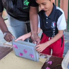 A young boy adds flower petals to his handmade paper, a beautiful way to personalize his creation and connect with nature.