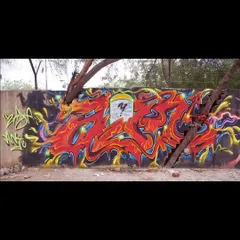 A panoramic shot of the graffiti piece integrated with the tree, showing the full composition.