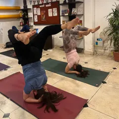 Graduates of our TTC practicing advanced variations of Sirsasana (Headstand) together. A mature practice is a continuous journey of exploration and refinement.
