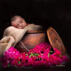 For a touch of rustic charm, I often use natural props like this wooden bucket. The contrast between the dark wood, the bright bougainvillea flowers, and the baby's soft skin makes for a stunning and unique photograph.