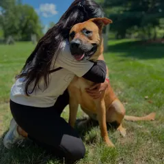 A heartfelt hug with Doug. Learning to train dogs has been a healing and cathartic process for me.