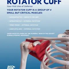 Your rotator cuff is a group of four critical muscles that act as your first line of defense in stabilizing the shoulder.