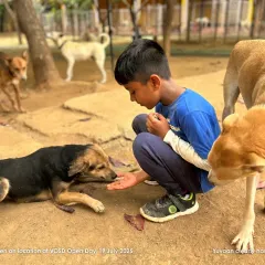 A young visitor shares a quiet moment with one of our residents during an Open Farm Day. These interactions teach compassion and create unforgettable bonds.