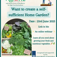 Want to create a self sufficient home garden? Join our online webinar to learn all you need about growing fresh and nutritious vegetables right at home.