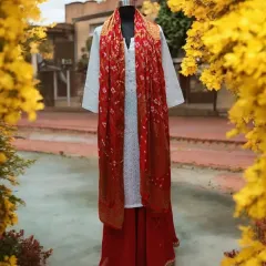 A perfect look for Holi or any summer festival. This white chikankari kurta is paired with red palazzo pants and a vibrant red bandhani dupatta.