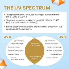 To make the right choices for your skin, you need to understand the science. This chart explains the difference between UVA and UVB rays. UVA rays are responsible for aging, while UVB rays cause sunburn. A good sunscreen must protect you from both.