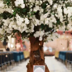 The Tree of Blessings stands at the center of this Bhajan Sandhya. Here, we began the journey with sacred songs, creating a serene and spiritual space for prayer and reflection before the festivities.