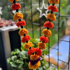 This is a full view of the Zendu Haar, showing how the flowers are strung together to create a beautiful, lasting piece for your door or pooja room. It's a perfect, sustainable alternative to fresh flowers.