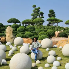 For this large-scale project in Hyderabad, we created a surreal, zen-like landscape. The design features meticulously sculpted topiary trees set against a field of large, smooth stone spheres for a truly unique and memorable garden.