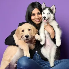 The purest form of love is between a hooman and their puppies. This photo captures that special bond, showcasing a beautiful moment with a Golden Retriever and a Siberian Husky. I love creating portraits that the whole family will cherish forever.