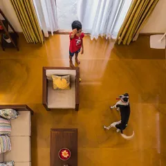 A top-down view of the living space, capturing a moment of life with a child and their dog. For us, a home is truly complete when it is filled with joy and activity.