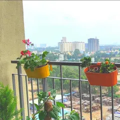 Make the most of your balcony railings. Our colorful railing planters are an easy way to add flowers and greenery without using any floor space, instantly brightening up your view.