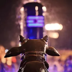 Nandi, the sacred bull, symbolizes eternal, meditative waiting. This post explains how Nandi's alert stillness teaches us the quality of receptivity, a state of being where we are willing to listen to the divine.
