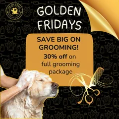 Fridays just got golden. I offer a 30% discount on my full grooming package every Friday. It's the perfect way to get your furbaby looking fabulous for the weekend.