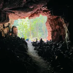 The stunning view from inside the mouth of a cave in Ulavi, looking out at the bright green forest. It's a truly magical experience.