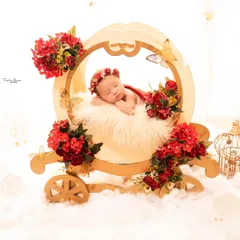 A fairytale dream for a baby girl. This newborn is posed in a beautiful princess carriage prop, surrounded by red flowers and butterflies for a magical, storybook feel.