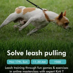 Leash pulling is one of the most common struggles for pet parents. This is a promotion for my online masterclass dedicated to solving leash pulling through fun games and positive reinforcement exercises. You can learn to enjoy walks again.