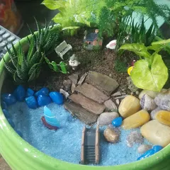 I create tiny worlds in a pot. This custom miniature garden features a variety of succulents, decorative stones, and small figurines, making it a perfect gift or a unique piece for your desk.