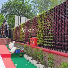 After: A different angle of the completed project, showing how the green wall integrates with the surrounding space, including a nearby statue and event setup.