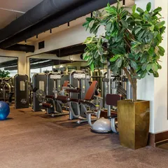The main workout floor of the private gym. We used large mirrors to make the space feel bigger and brighter, with plenty of room for a variety of exercise machines and equipment.