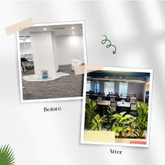 Here is a before and after that shows the power of plants. A plain white pillar and empty floor are transformed into a structured, green, and inviting part of the office, improving the overall aesthetic and employee experience.