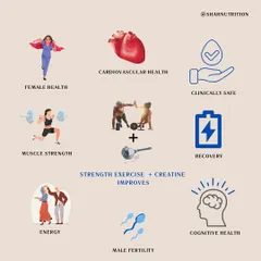 The combination of strength exercise and creatine improves much more than just muscle. It supports cardiovascular health, cognitive function, energy levels, recovery, and even male and female health.