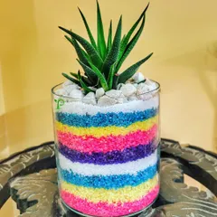 A thoughtful gift for a colleague to brighten their desk. This vibrant piece features a succulent set in colorful layers of sand, proving that a great gift can be both smart and beautiful.