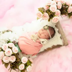 A peaceful newborn girl, swaddled in soft pink and surrounded by a bed of delicate roses. Our newborn photography sessions prioritize your baby's comfort while creating beautifully styled portraits.