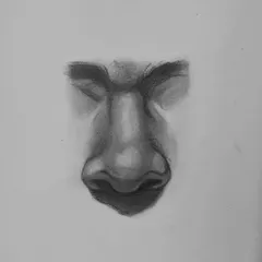 The final rendered nose from the tutorial. This demonstrates how the simple shapes from the previous step can be transformed into a realistic feature with careful shading and highlighting.