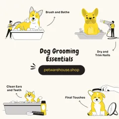 This graphic illustrates the essential steps of a complete grooming session, from brush and bathe to nail trims and final touches. Regular grooming is key to your pet's hygiene and well-being.