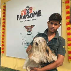 This beautiful Shih Tzu is showing off a healthy, well-maintained long coat. We provide expert grooming for long-haired breeds to prevent tangles and keep them looking elegant and feeling great.