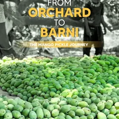 Our mango pickle journey starts at the orchard. We believe the best achaar comes from the best ingredients, which is why we are so particular about the mangoes we choose.