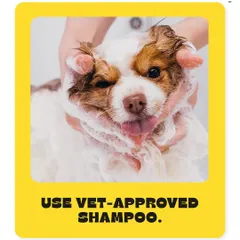 Bath time should be safe and effective. We always advise using a vet-approved shampoo that is formulated for your pet's specific skin type to avoid irritation and keep their coat clean.