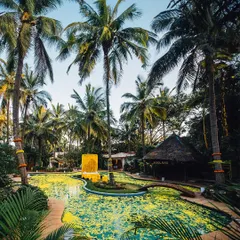 Imagine your celebration by our tropical, resort-style pool, surrounded by palm trees and lush greenery. We decorate the space to match your theme, creating a vibrant, vacation-like atmosphere for you and your guests.
