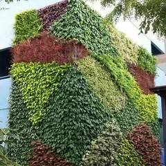 This is a living work of art we created. A vertical garden, or green wall, like this one can transform a plain building facade into a stunning feature that also helps cool the building and purify the air. We use a variety of plants with different colors and textures to create a dynamic, natural pattern.