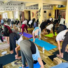 Students in our teacher training course practice forward bends together. We emphasize learning through practice and repetition.